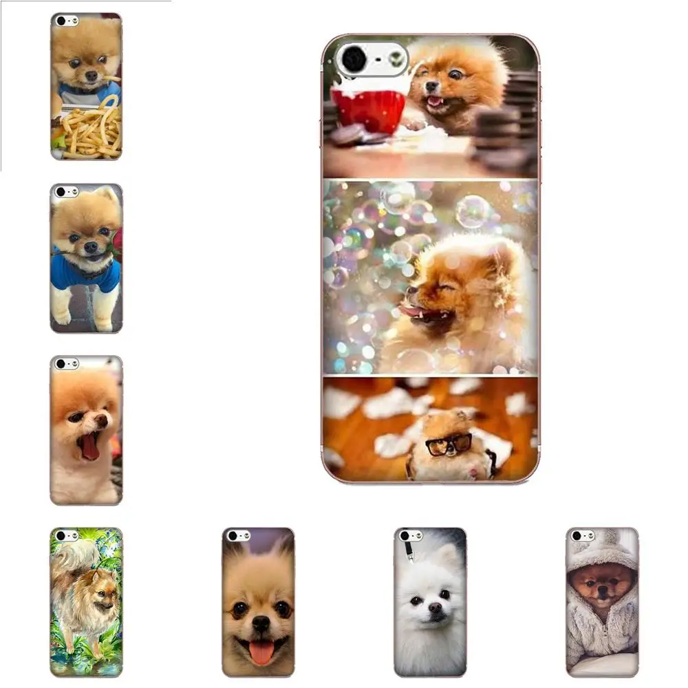 Pomeranian Puppy Dog мягкий TPU Стильный чехол для Galaxy J1 J2 J3 J330 J4 J5 J6 J7 J730 J8 2015 2016 2017 2018 mini