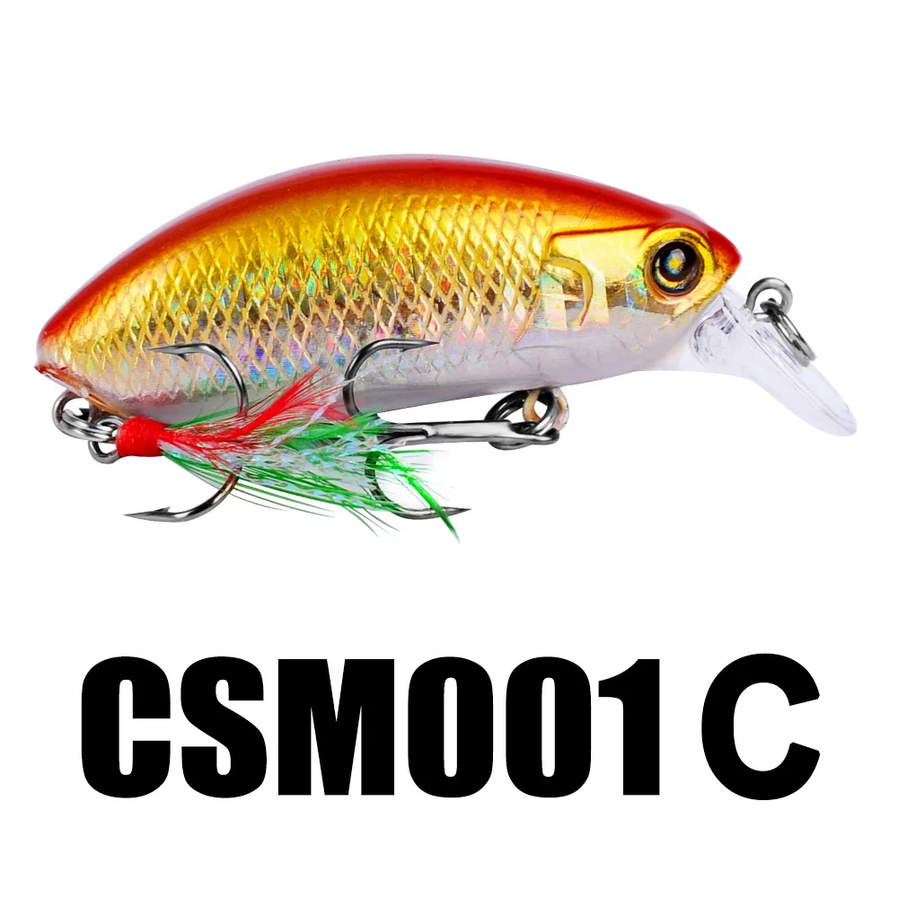 CSM001C.jpg