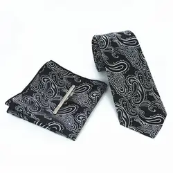 JEMYGINS оригинальный 100% шелк для мужчин галстук ручной работы высокое качество Floar галстук с ярким узором клип булавки карман квадратный Hanky