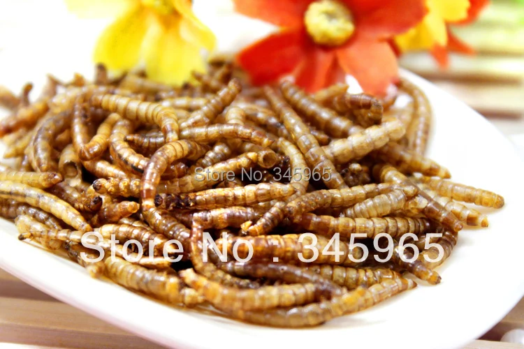 Free shipping Dried mealworm dry hamster arowana fish food turtle food