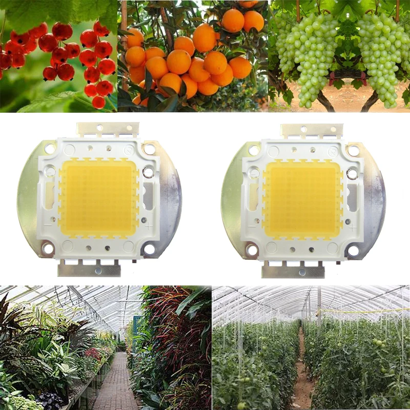 

2pcs 100W White Full Spectrum 380~780nm 45mil 9000LM 30V-36V 3000mA lED Plant Growing Garden Bulb Vegetable Light Diode Part