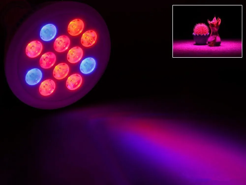led-grow-light-bulb-e27-12w-85-265v-miracle(2)