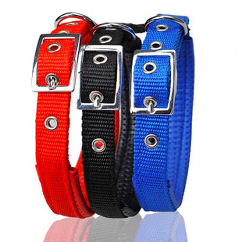 shipipng pet dog soft foam comfortable collar small large dog collar chromate locklarge dog