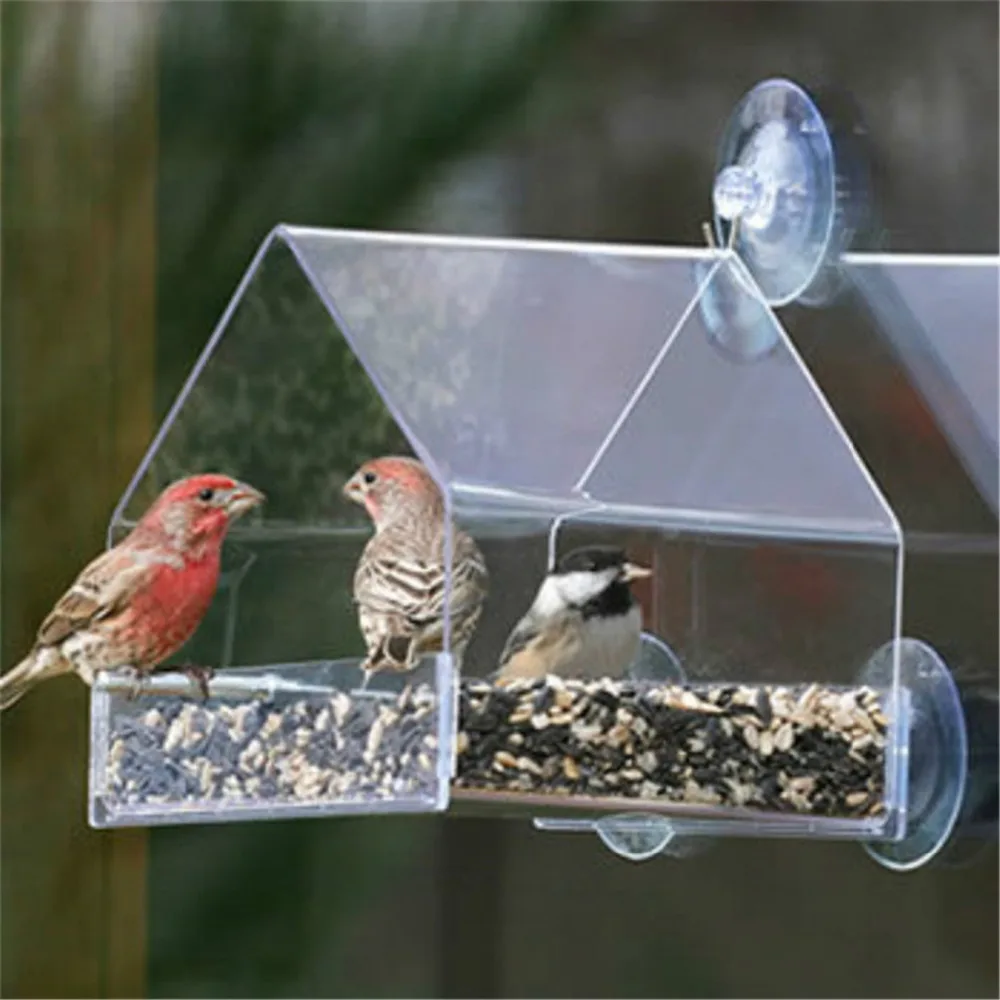Parrot Lovebird Canary Aviary Transparent Window Outdoor Bird Feeder