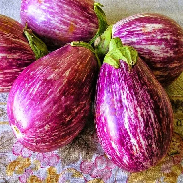 100pcs very rare four color eggplants white eggplant green eggplant