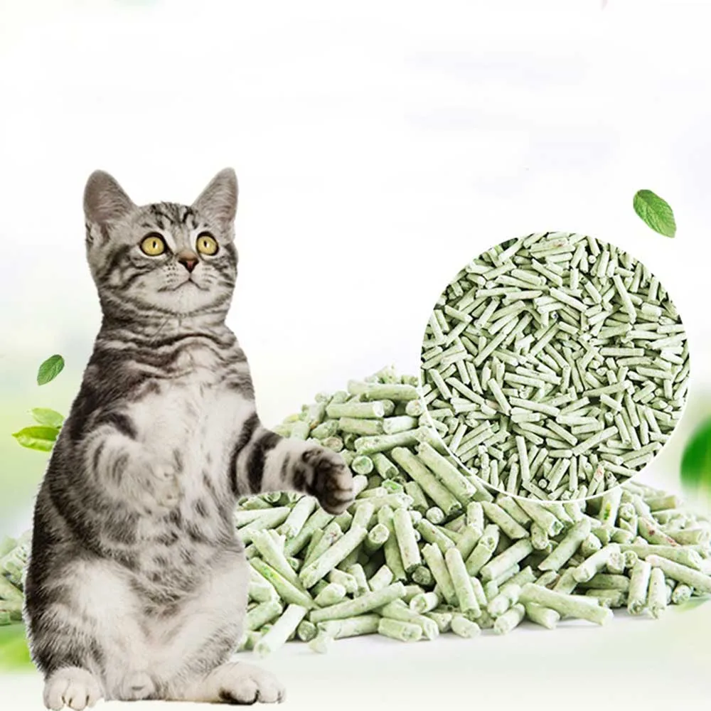 cats (4)