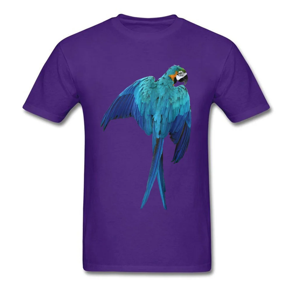 macaw-parrot-transparent-background_purple