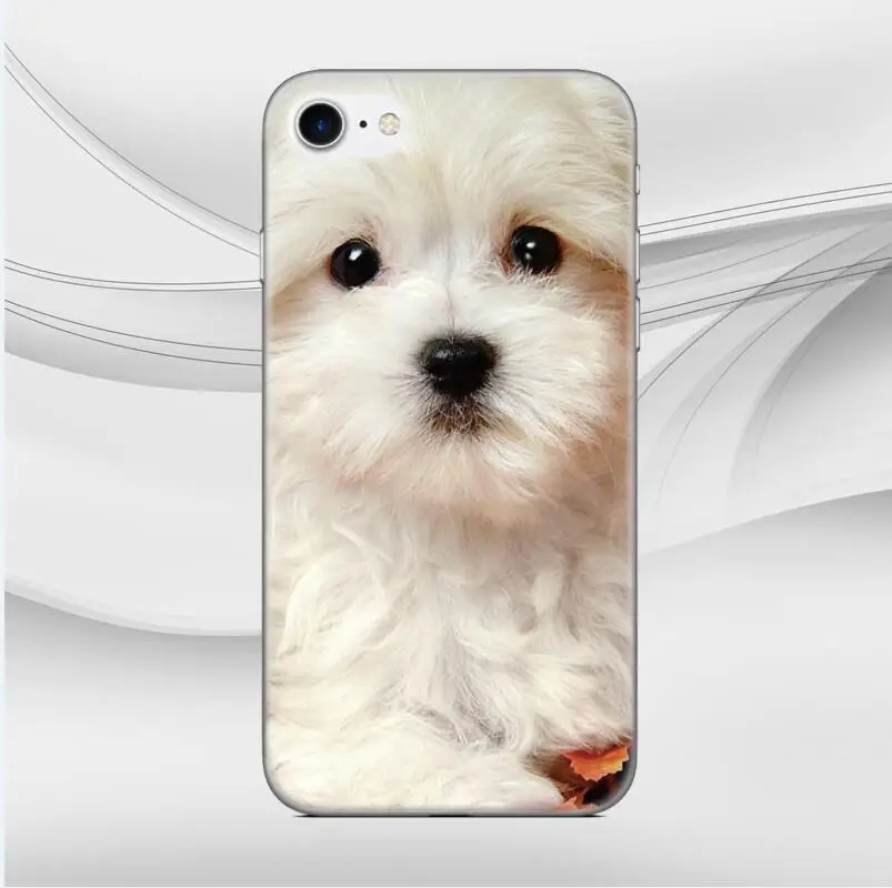 Style 10 Собака Мягкий ТПУ чехол для телефона для LG Nexus 5x Q6 Q7 V30 V40 V50 G6 G7 G8 ThinQ K11 K10 K9 K8 X Мощность 2 3 Stylo 4 5 Крышка - Цвет: Style 10