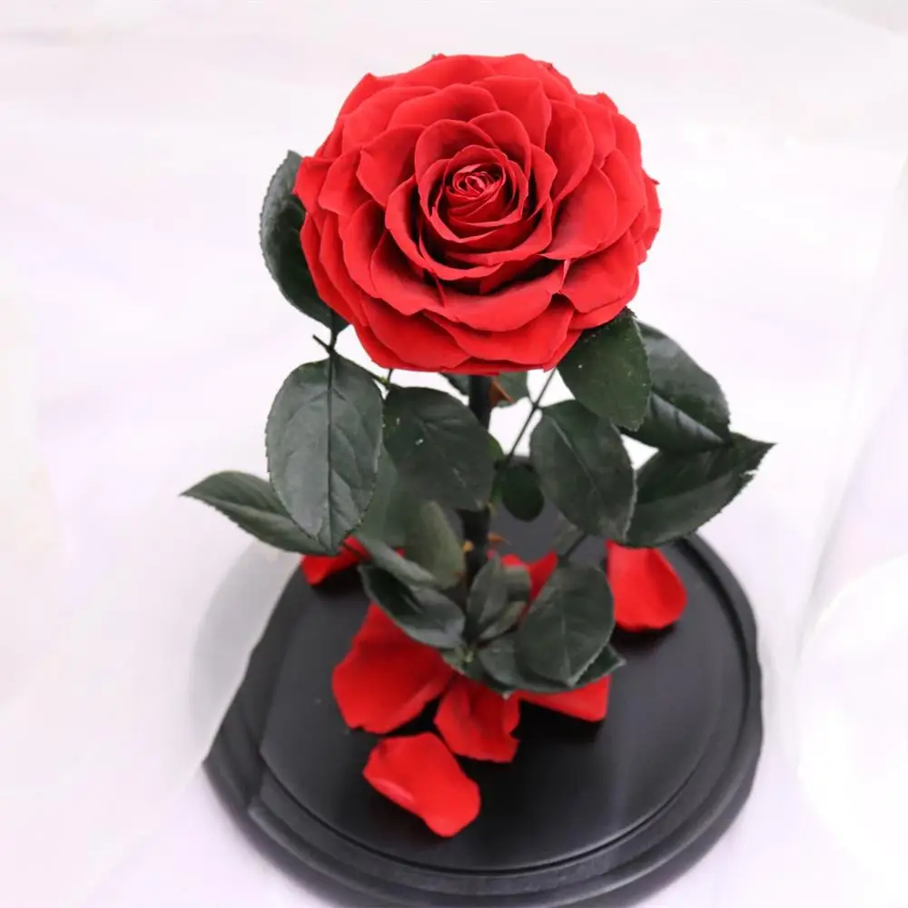

Big Size Head 9CM Forever Rose Flower The Beauty and Beast Rose Romantic Gifts Eternal Exclusive Rose Glass Dome Birthday Gift
