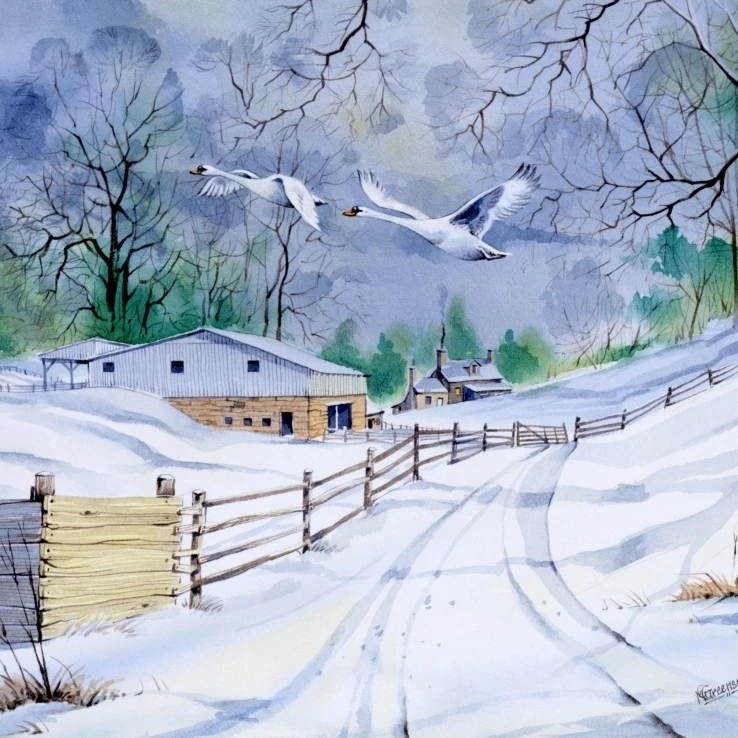 Country Lane In Winter  With Two Flying Swans Poster Print By Malcolm Greensmith <ALIMT >&reg;</ALIMT> Adrian Bradburymary Evans (24 X 18)