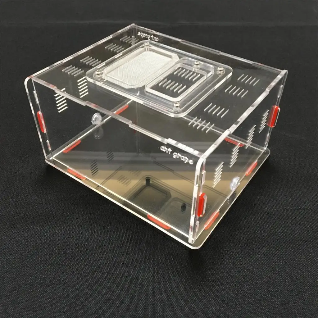 transparent