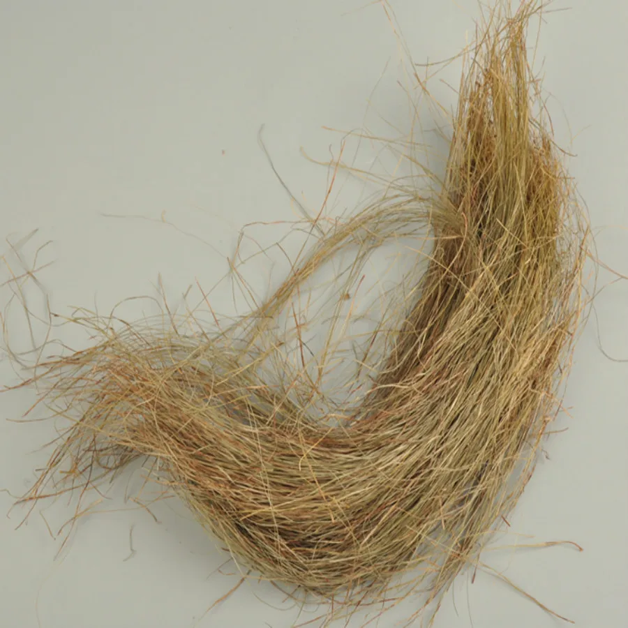 architecture new model grass (1)