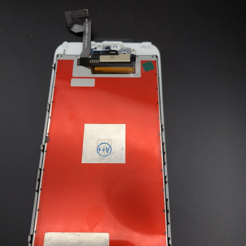 IMG_0509