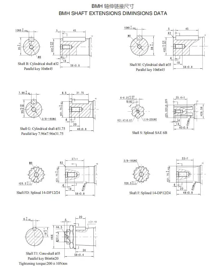 BMH1