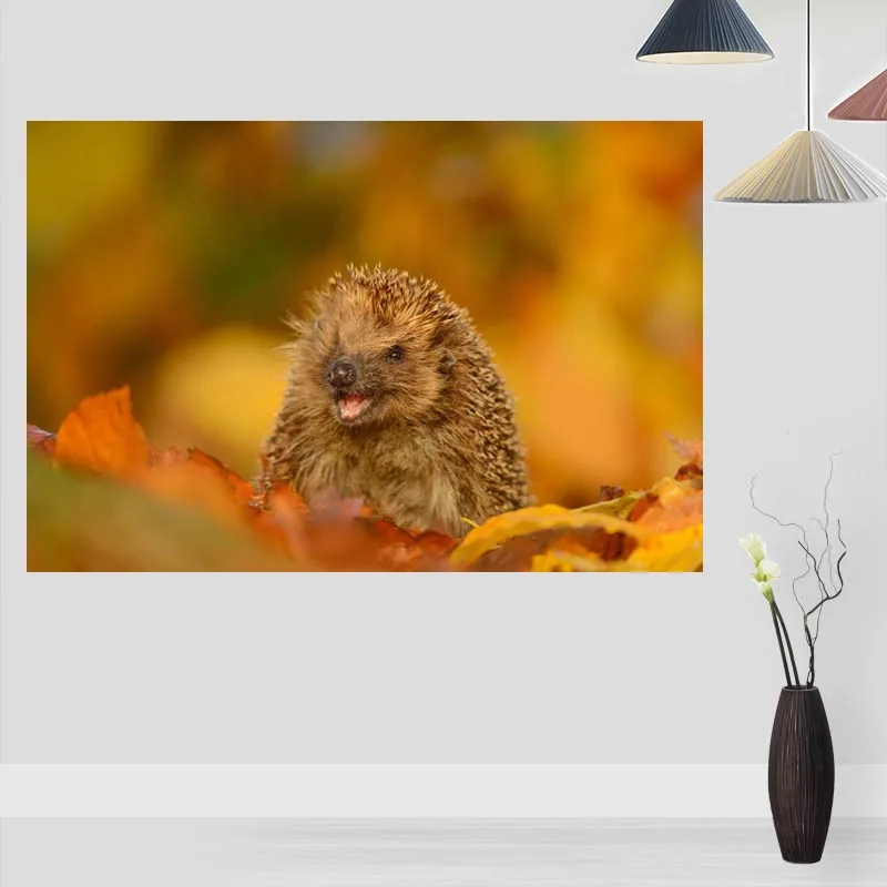 Modern Picture Hedgehog Poster Paintings For Living Room Wall Art Silk Fabric Cloth Decoration Children Gift | Дом и сад