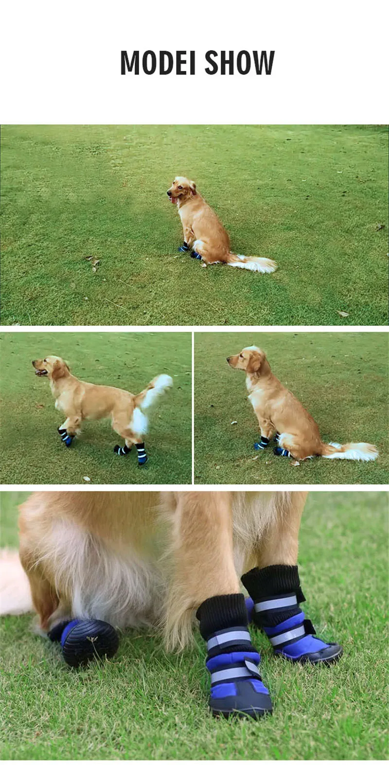 shoes dog (15)