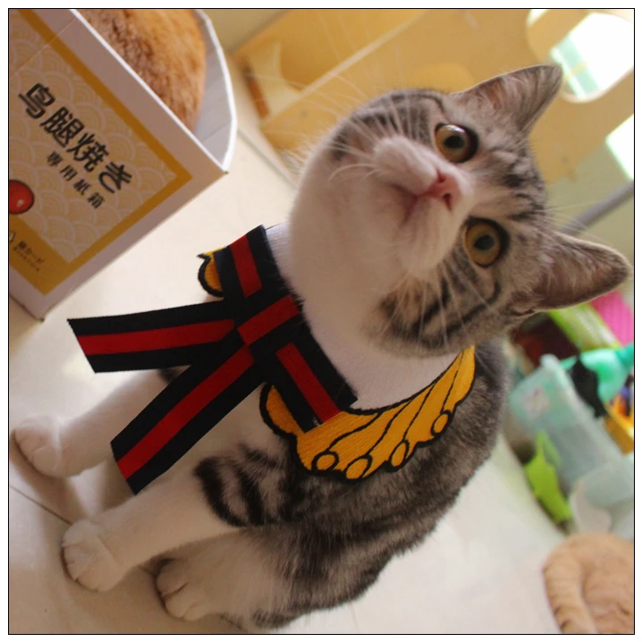 Милый воротник с котом