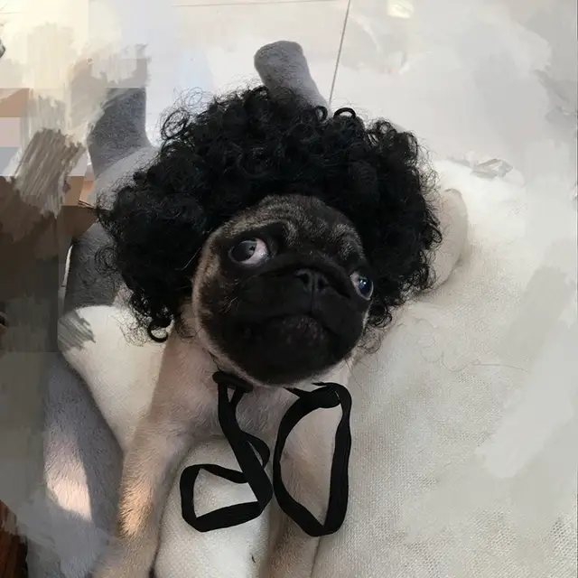 Vugsuce Funny Pet Dog Wig Cosplay Cap For Small Puppy Dogs Cats