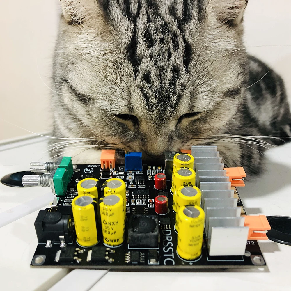 

DRSSTC Integrated Arc Extinguishing Drive Board Based on UD2.3 Phase-shifted Dual Totem DCDC Totem Power Supply