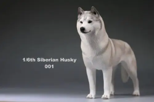 In Stock 6 Colors 1 6 Accessories Siberian Husky Simulation