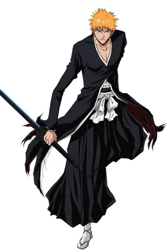 

Free Shipping Bleach Ichigo Bankai Cosplay Costume for Hallween and Christmas