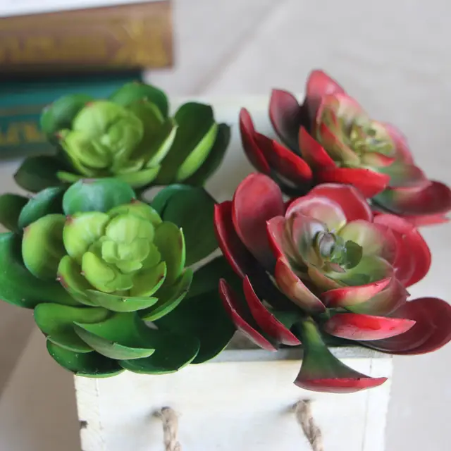 Indigo Wholesales 100pcs Wall Background Echeveria Grus Artificial
