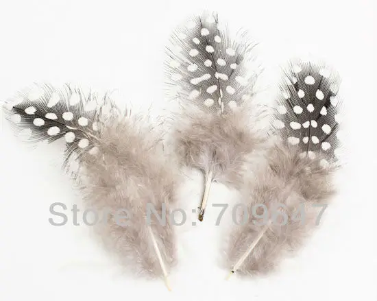 

200Pcs/Lot 5-12cm NATURAL BLACK & WHITE LOOSE GUINEA Fowl Spotted Feathers,Big Dot GUINEA Fowl Spotted Feathers