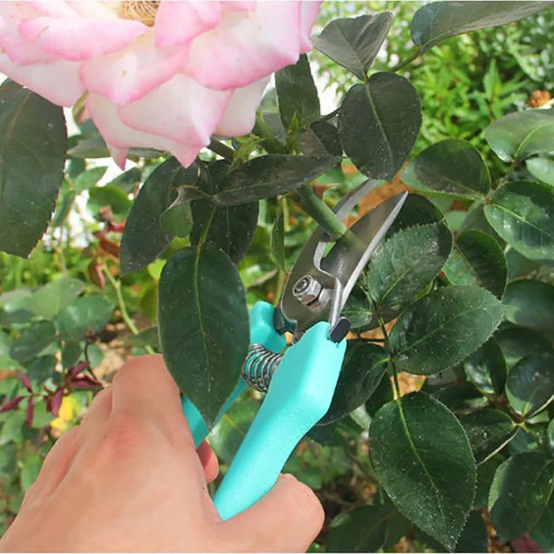 Pruning Scissors (12)
