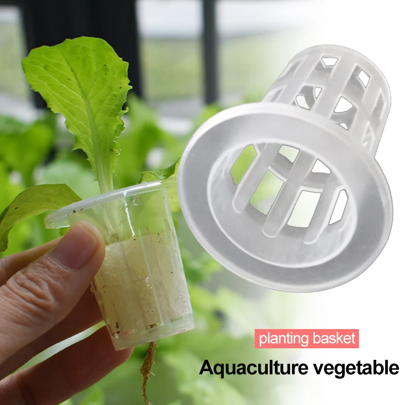

Mesh Net Pots Durable Plastic Soilless Hydroponic Nursery Cups Nursery Tools White Reusable Nursery Pots Plant Grow Organic
