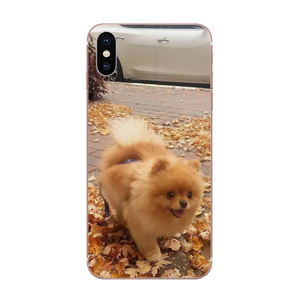 Для Apple iPhone 4 4S 5 5C 5S SE 6 6S 7 8 Plus X XS Max XR мягкие чехлы из ТПУ для телефона Pomeranian Puppy Dog 11 - Цвет: as picture