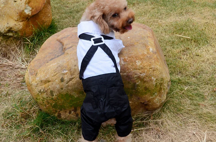 Западный стиль мужской костюм галстук-бабочка маленькая собачка одежда для маленьких собак мальчик Щенок Одежда комбинезон дешевая одежда для домашних животных Прямая поставка