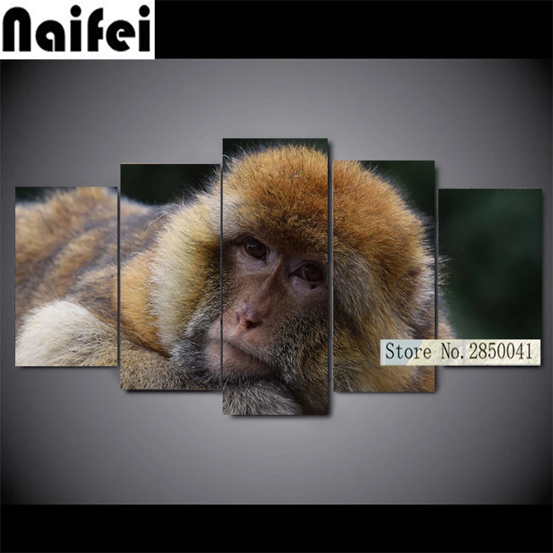 

5pcs,5d Diy Diamond Painting Cross Stitch Kit Monkeys Animals photo Diamond Embroidery Mosaic decoration home,christmas gift