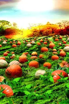 

200CM*150CM backgrounds Montreal pumpkin color mixed photography backdrops photo LK 1521