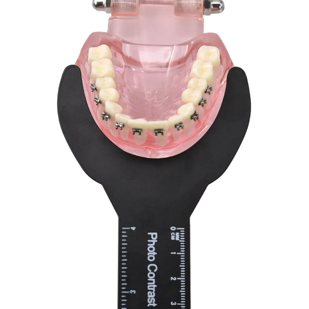 6 шт. стоматологический ортодонтический черный фон фото Изображение контрастная доска пероральная щека пластина со шкалой Марка автоклавируемый стоматологический инструменты