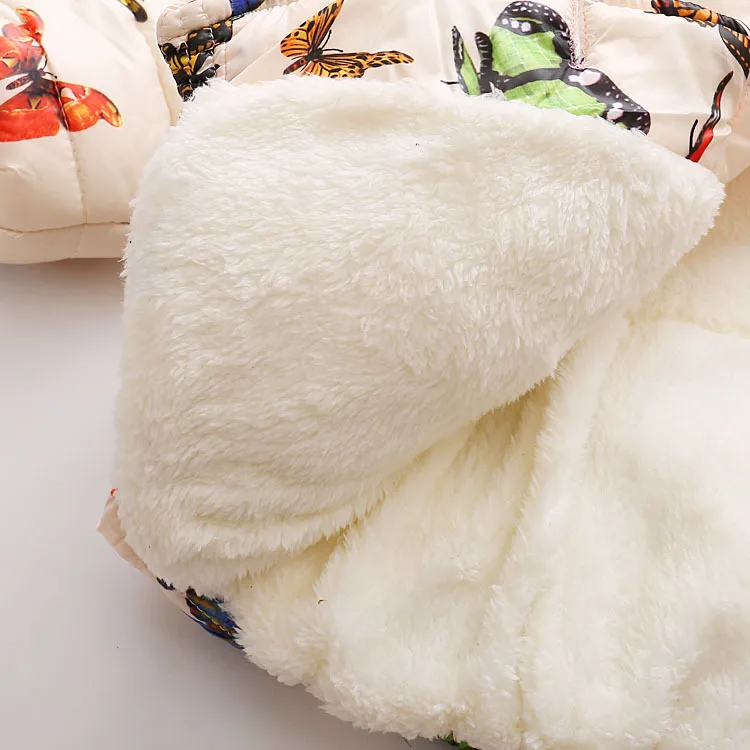 4197483848_999257115