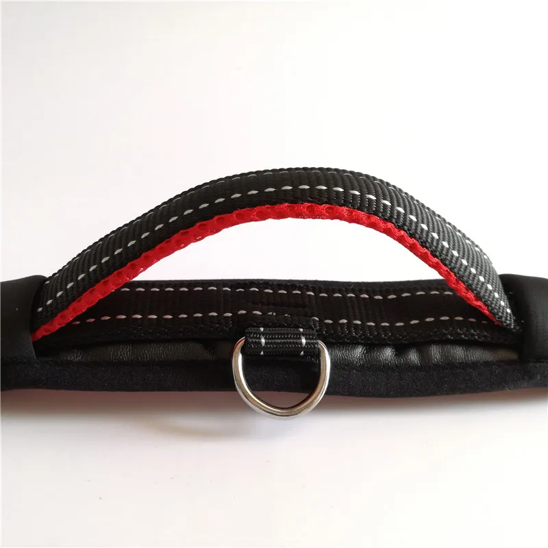 Dog Collar and Leash Set (9)_