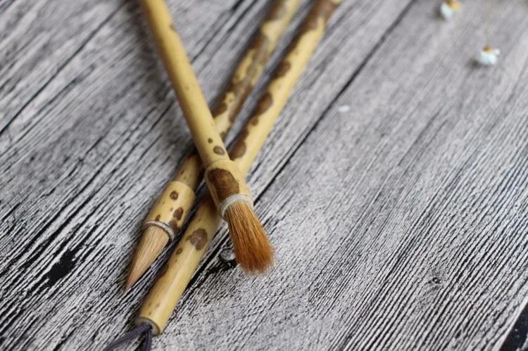 TB24hq4pVXXXXaGXpXXXXXXXXXX_!!66571612