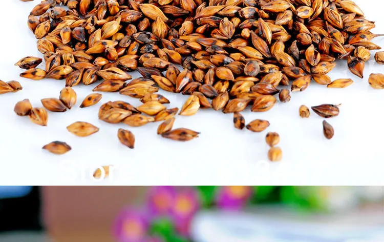 

250g Super Organic Dried Barley Tea ,Super Organic barley grain Tea,herbal tea/Chinese tea,Free shipping