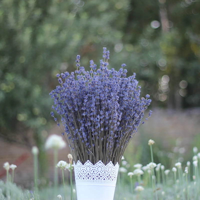 TB1ldT.SpXXXXXfXpXXYXGcGpXX_M2