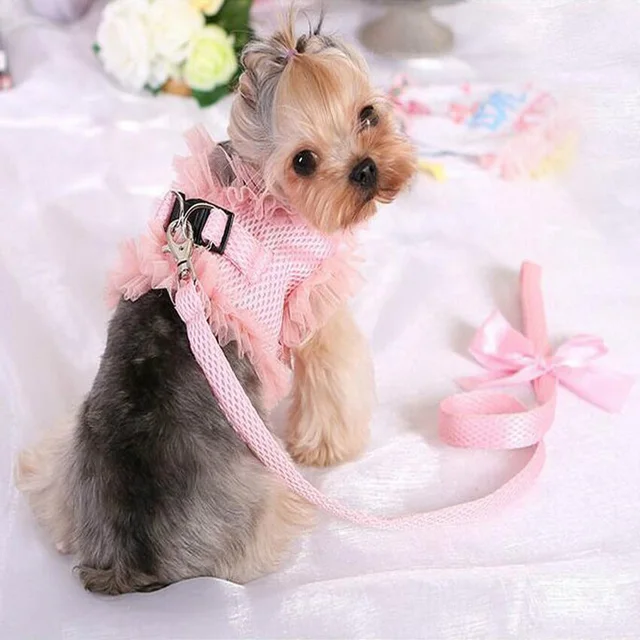 2018 Spring/Summer Cute Comfort Lace Cherry Pet Dog/Cat Harness Leash Set Breathable Pet Harness for Small Dog Pet Pink Purple