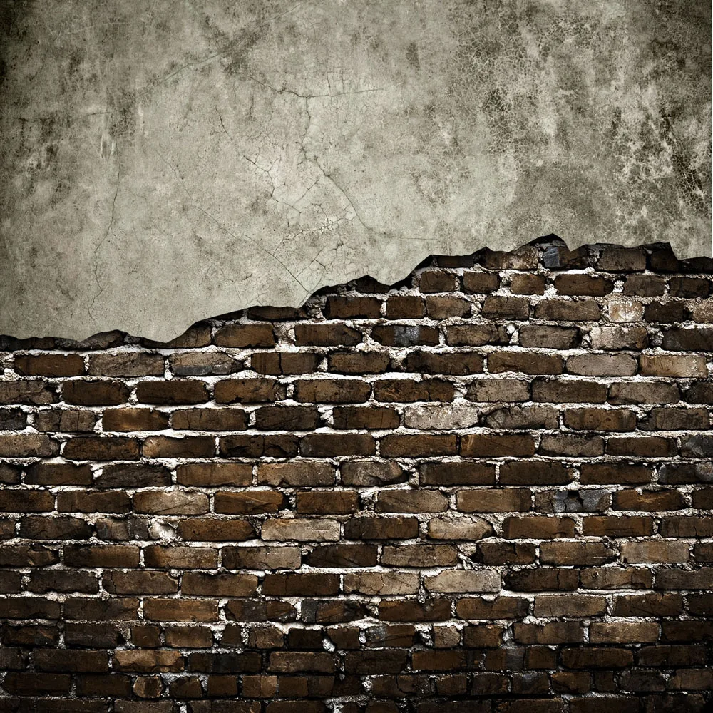 

10X10ft Vinyl Custom Wall Photography Backdrops Prop Photography Studio Background TWQ-14