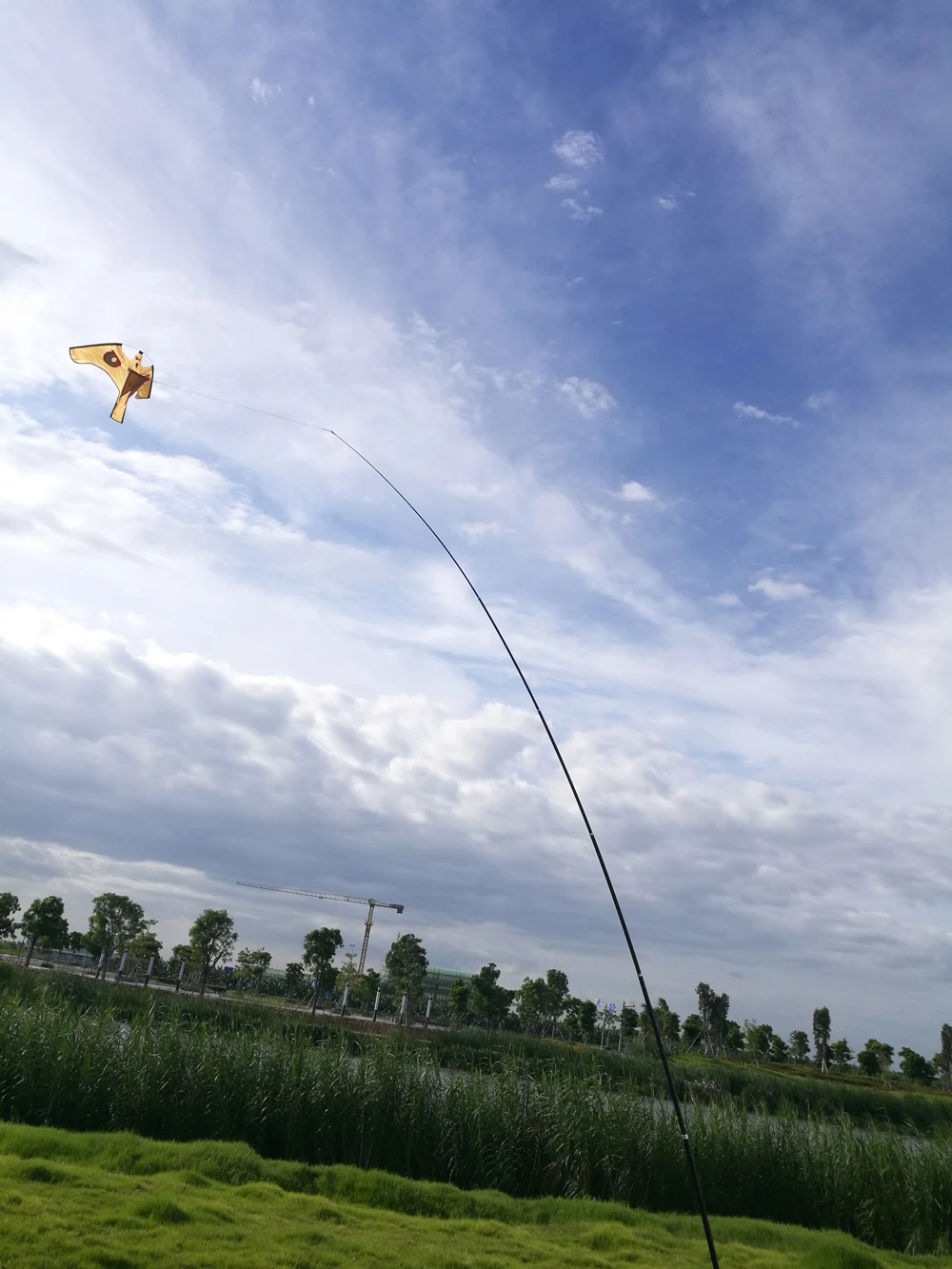 Brown Hawk Kite ,Bird Scarer Hawk Kite Protect Farmers Crops(Kite Only) Brown Hawk Kite ,Bird Scarer Hawk Kite Protect Farmers Crops(Kite Only)