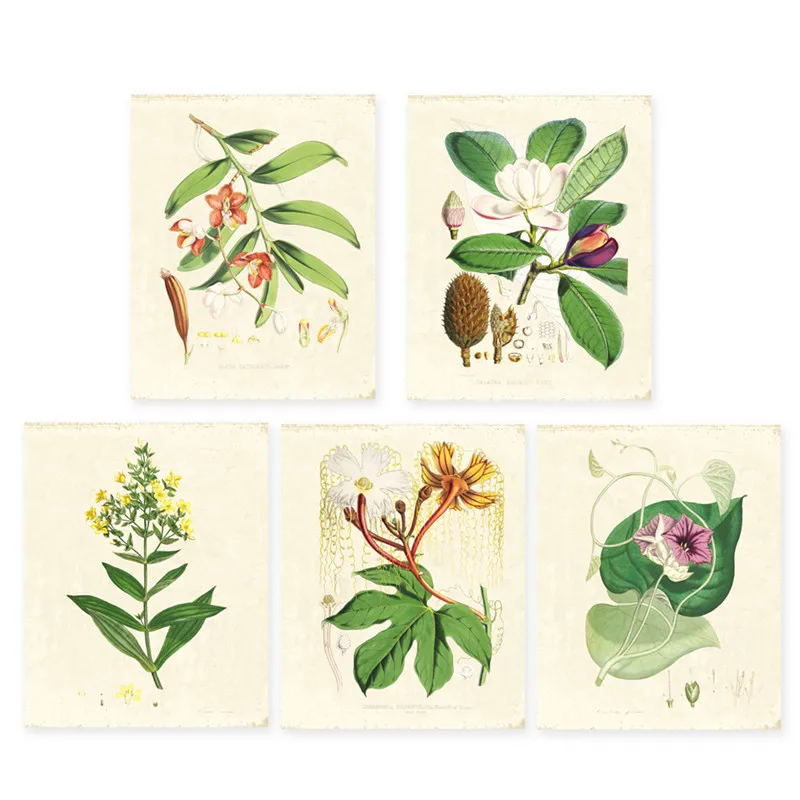 Green-plants-set-of-5-Vintage-Botanical-illustrations-floral-art-prints-HD-printing-Flower-Wall-Art (5)