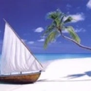 Paradise Found Poster Print (36 x 12)