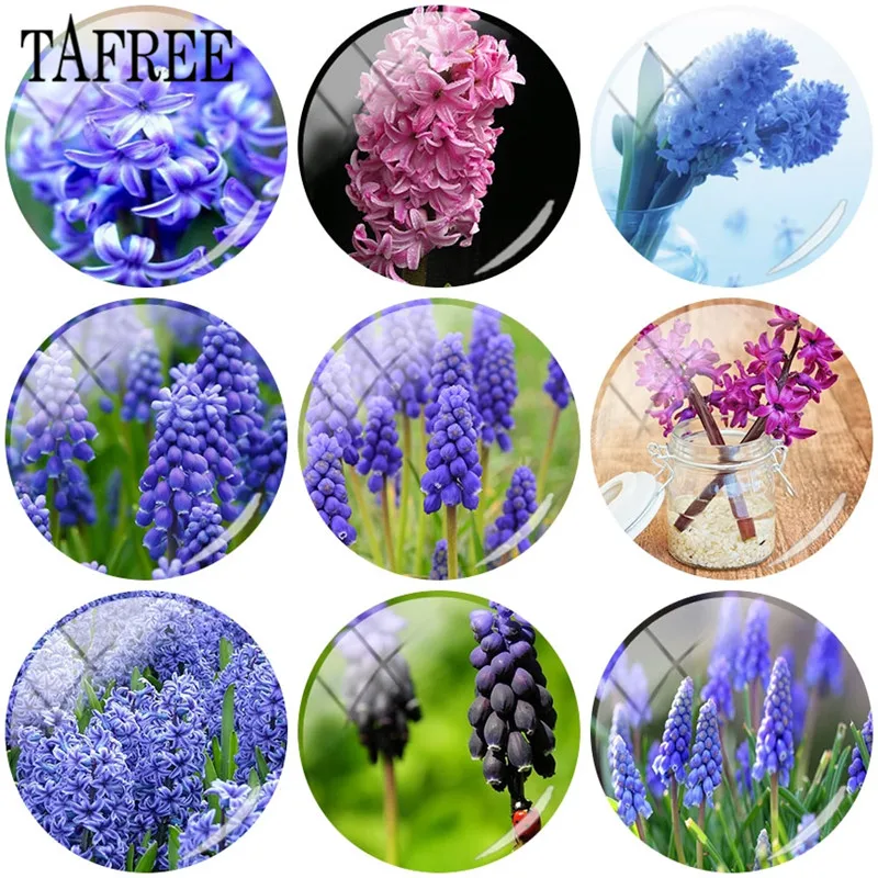

TAFREE 25mm DIY Glass Cabochon Dome With hyacinth Art Picture Flatback Camo Jewelry Findings For Bracelet Keychain