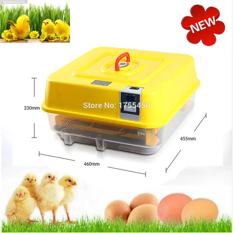 

Mini Eggs Hatchery Machine Auto Hatcher Egg Incubator For Hatching 48 Eggs Poultry China Brooder