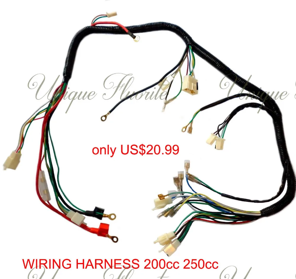 QUAD WIRING HARNESS 200 250cc Chinese Electric start ... 110cc atv wiring 