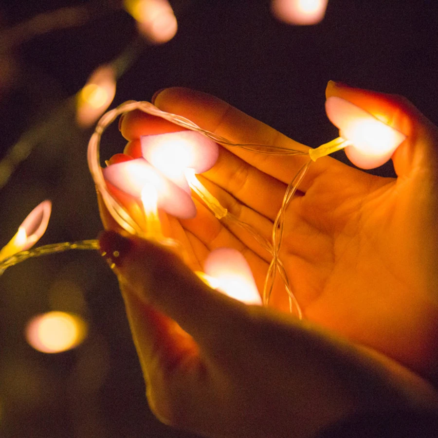 Heart-shaped Battery Operated String Lights