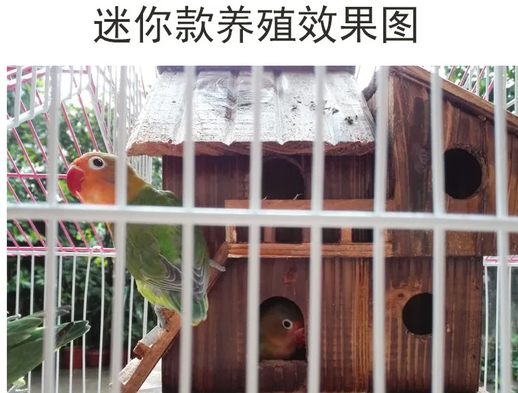 25*25*16 см наружное деревянное гнездо для птиц консервантное украшение птичий домик деревянная птичья клетка птичья коробка игрушки CW074