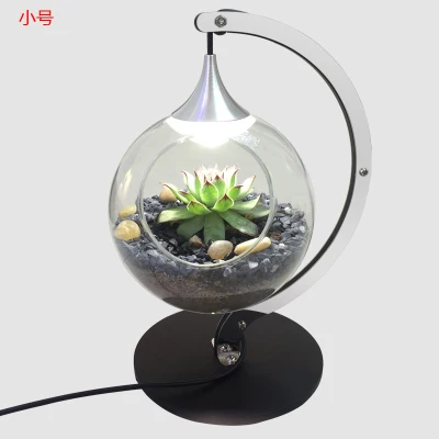 Современная Минималистичная настольная лампа для растений, бара, ресторана, балкона, спальни, прикроватная лампа, стеклянный шар, экологическая настольная лампа для растений - Цвет абажура: dia 15 cm